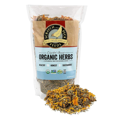 Scratch and Peck Feeds Cluckin' Good Organic Herbs for Chickens & Ducks 10oz - Poudre Pet and Feed Supply